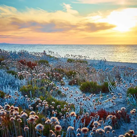Ferienhaus Sunset Bay Tecno Sardinia *